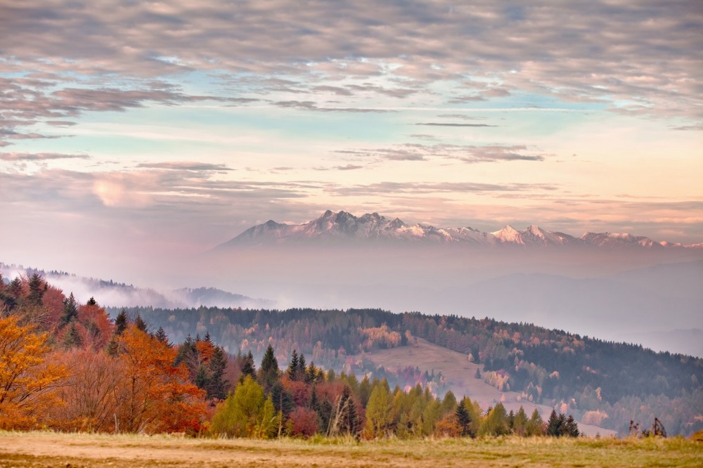 Oferta Specjalna od Partnera Fundacji Hotelu Wierchomla Ski&SPA Resort 