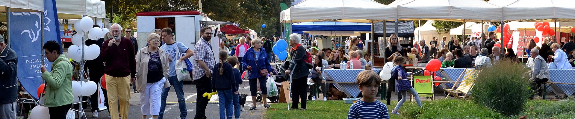 IX Rodzinny Piknik Integracyjny Samorządów Zawodów Zaufania Publicznego 2018